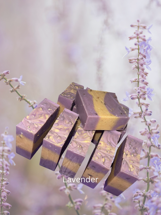Lavender